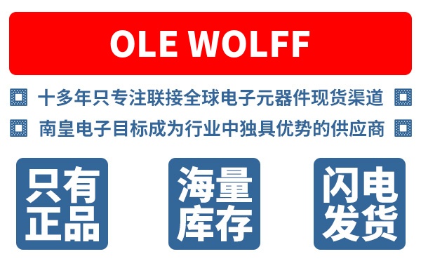 Ole Wolff��˾ (Ole Wolff Electronics)